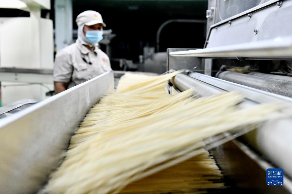 免费下载斗牛牛